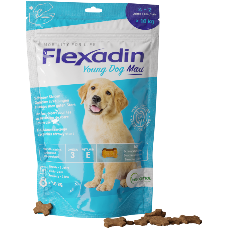 VETOQUINOL Flexadin Young Dog Maxi 60 kąsków