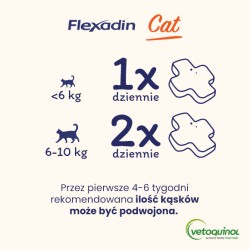 VETOQUINOL Flexadin Cat 60 kąsków