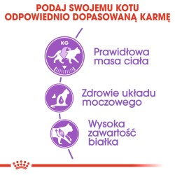 ROYAL CANIN FHN Sterilised 37 10kg + 2kg GRATIS PROMO Uszkodzenie