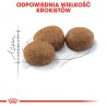 ROYAL CANIN FHN Sterilised 37 10kg + 2kg GRATIS PROMO Uszkodzenie