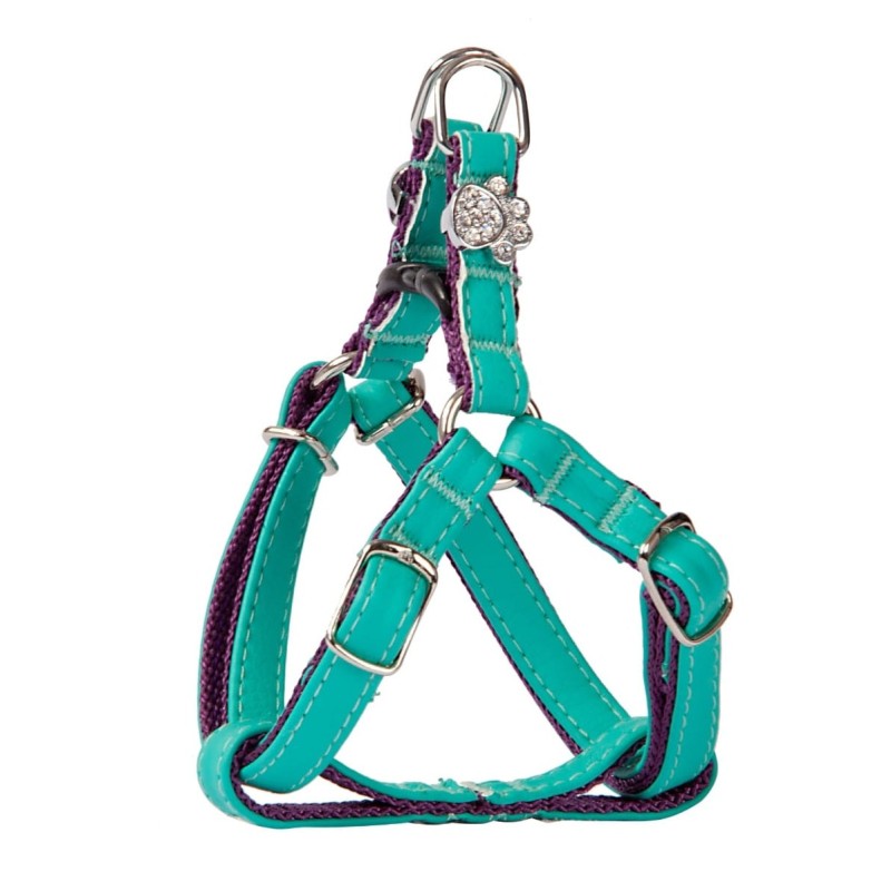 DINGO Szelki skórzane dla Yorka "New York" - Morsko-fioletowe