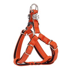 DINGO Szelki skórzane dla Yorka "New York" - Pomarańczowo-czarne