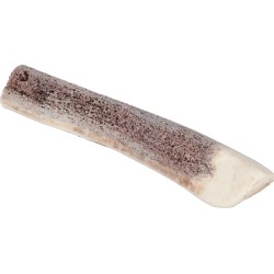 ZOLUX Poroże jelenia PUPPY - oszlifowane krawędzie