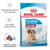 ROYAL CANIN Medium Starter Mother&Babydog karma sucha dla suk w ciąży, w okresie laktacji i szczeniąt ras średnich 15 kg