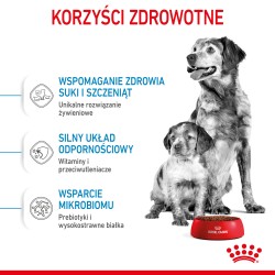 ROYAL CANIN Medium Starter Mother&Babydog karma sucha dla suk w ciąży, w okresie laktacji i szczeniąt ras średnich 15 kg