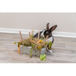 TRIXIE Paśnik dla gryzoni/królików ceramika/drewno 26 x 23 x 17 cm - szary