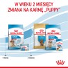 ROYAL CANIN Medium Starter Mother&Babydog karma sucha dla suk w ciąży, w okresie laktacji i szczeniąt ras średnich 15 kg