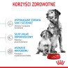 ROYAL CANIN Medium Starter Mother&Babydog karma sucha dla suk w ciąży, w okresie laktacji i szczeniąt ras średnich 4 kg
