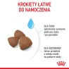 ROYAL CANIN Medium Starter Mother&Babydog karma sucha dla suk w ciąży, w okresie laktacji i szczeniąt ras średnich 4 kg