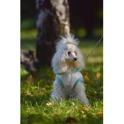 ZOLUX Sweterek Teddy - kremowy 35 cm