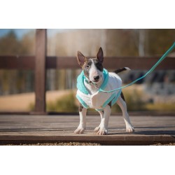 ZOLUX Sweterek Teddy - kremowy 40 cm