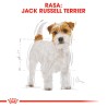 ROYAL CANIN Jack Russell Adult karma sucha dla dorosłych psów od 10 miesiąca, rasy Jack Russel Terrier 500g