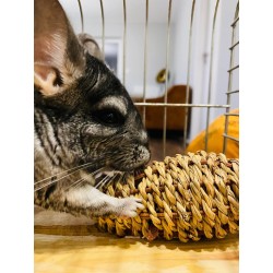 ZOLUX Zabawka Ehop marchewka z trawy morskiej