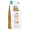 BRIT CARE Dog Grain-Free Senior and Light Salmon 1 kg