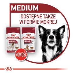 ROYAL CANIN SHN Medium Ageing 10 15kg PROMO Uszkodzenie