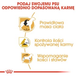 ROYAL CANIN Beagle Adult karma sucha dla psów dorosłych rasy beagle 12kg