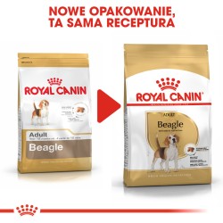 ROYAL CANIN Beagle Adult karma sucha dla psów dorosłych rasy beagle 12kg