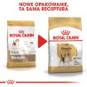 ROYAL CANIN Beagle Adult karma sucha dla psów dorosłych rasy beagle 12kg