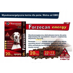 FORZECAN Energy 20kg