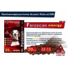 FORZECAN Energy 20kg