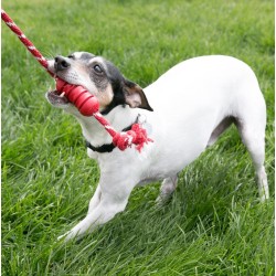 KONG Dental with Rope S