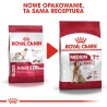 ROYAL CANIN SHN Medium Adult 7 15kg PROMO Uszkodzenie