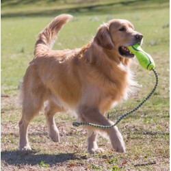 KONG AirDog Fetch Stick with rope M