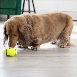 KONG AirDog Football M