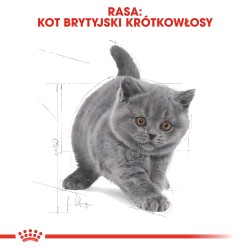 ROYAL CANIN FBN British Shorthair Kitten 2kg PROMO Uszkodzenie ubytek
