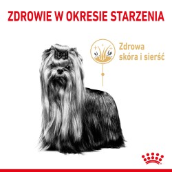 ROYAL CANIN BHN Yorkshire 8 - 3kg PROMO Uszkodzenie