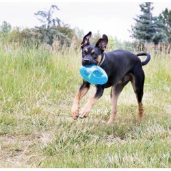 KONG Jumbler Football M/L