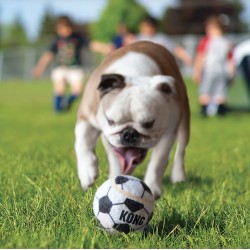 KONG Sport Balls Assorted (3pack) S