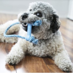 KONG Puppy Goodie Bone with rope XS