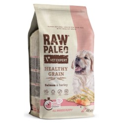 RAW PALEO Healthy Grain Salmon and Barley Puppy 2kg