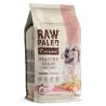 RAW PALEO Healthy Grain Salmon and Barley Puppy 2kg