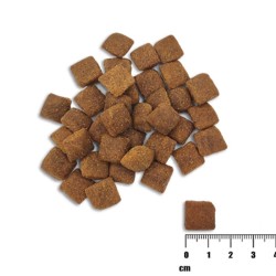 RAW PALEO Healthy Grain Lamb and Barley Adult 2kg