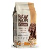RAW PALEO Healthy Grain Chicken and Barley Adult 2kg