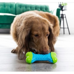 KONG CoreStrength Bone S/M