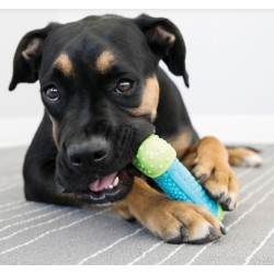 KONG CoreStrength Bone S/M