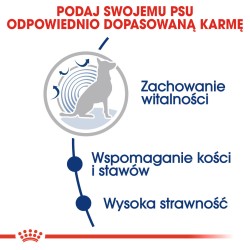 ROYAL CANIN SHN Maxi Ageing 8 15kg PROMO Uszkodzenie krótki termin