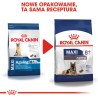 ROYAL CANIN SHN Maxi Ageing 8 15kg PROMO Uszkodzenie krótki termin