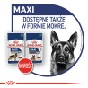 ROYAL CANIN SHN Maxi Ageing 8 15kg PROMO Uszkodzenie krótki termin