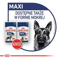 ROYAL CANIN SHN Maxi Ageing 8 15kg PROMO 2 Uszkodzenie