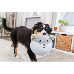 TRIXIE Junior, miś, dla szczeniąt, plusz 20cm