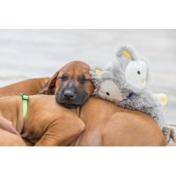 TRIXIE Junior zabawka wisząca/rozciągliwa dla szczeniąt 33 cm