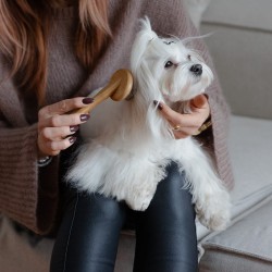 DINGO Szczotka owalna z bambusową rączką 17,5 x 8,8 cm S