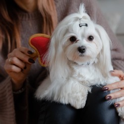 DINGO Szczotka serce z bambusową rączką 18,5 x 10 cm