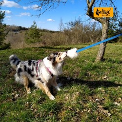 DINGO Gryzak owca 130cm fiolet