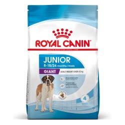 ROYAL CANIN SHN Giant Junior 15kg PROMO Uszkodzenie