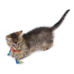 PETSTAGES Gryzak do higieny kocich zębów